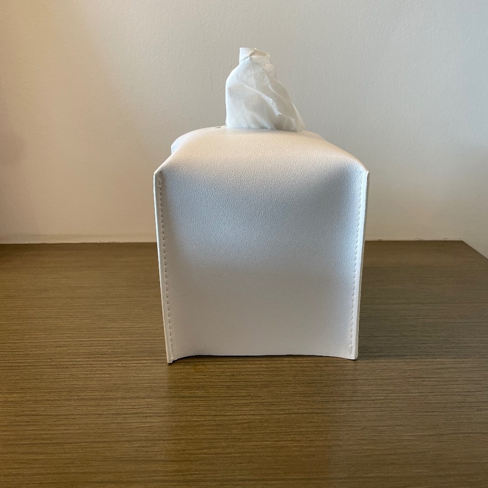 Tissues Box by Nicole Sassaman